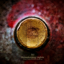 Shimmering Lights (Live @ ФИОLAND 23​.​08​.​14)
