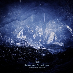 Seaweed Shadows (Live @ Spot 30​.​01​.​15)