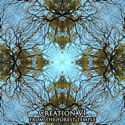 Creation VI - From The Forest Temple