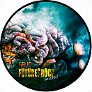 Gelid - Futureshock: increment
